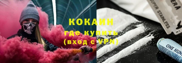 стаф Алзамай