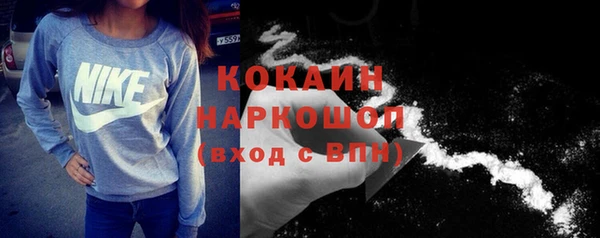 стаф Алзамай