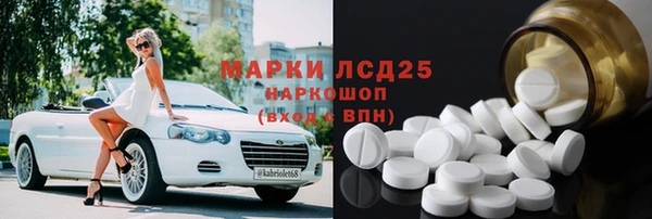 стаф Алзамай