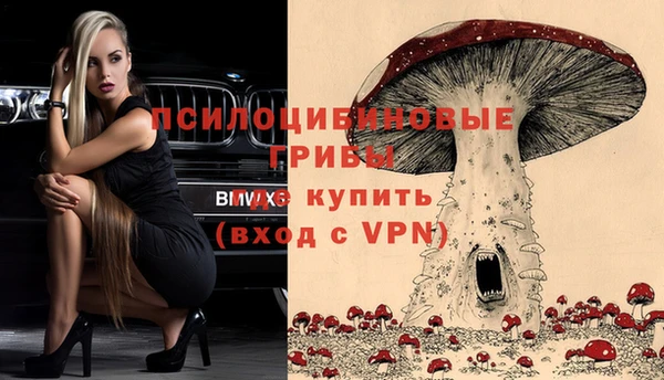 дмт Алексеевка