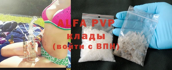 стаф Алзамай