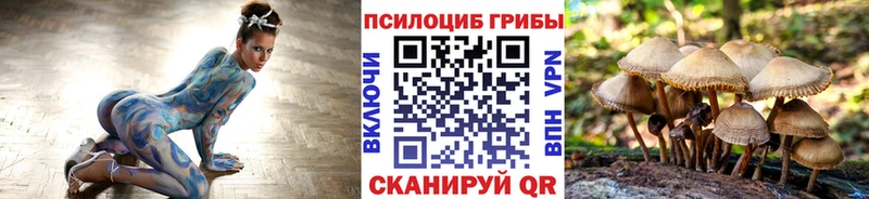 Псилоцибиновые грибы Magic Shrooms  гидра маркетплейс  Березники 