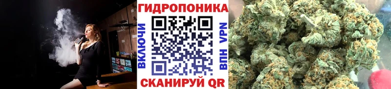 Канабис сатива цена МЕГА онион Березники